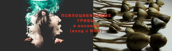 прущая мука Белоозёрский