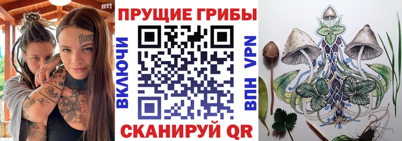 Галлюциногенные грибы Psilocybe  Благодарный 